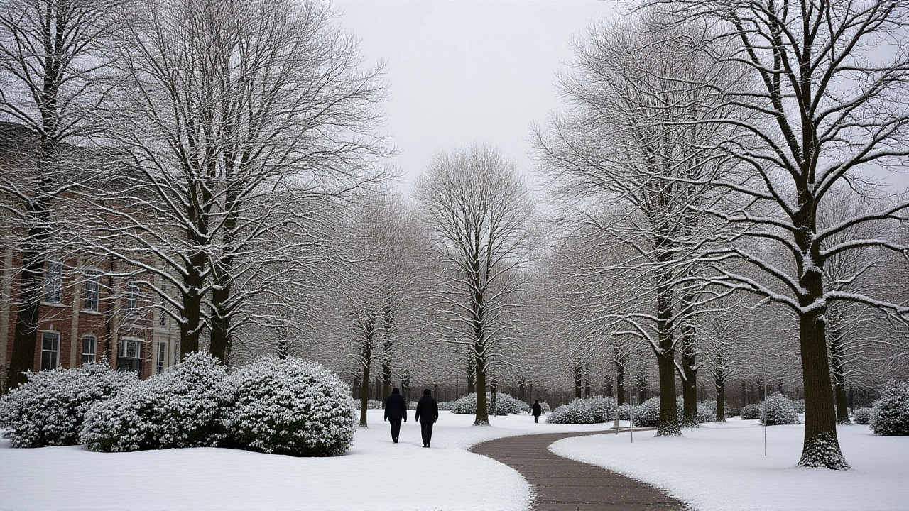 Christmas Day Temperatures in Manchester Diverge Wildly Across Weather Services